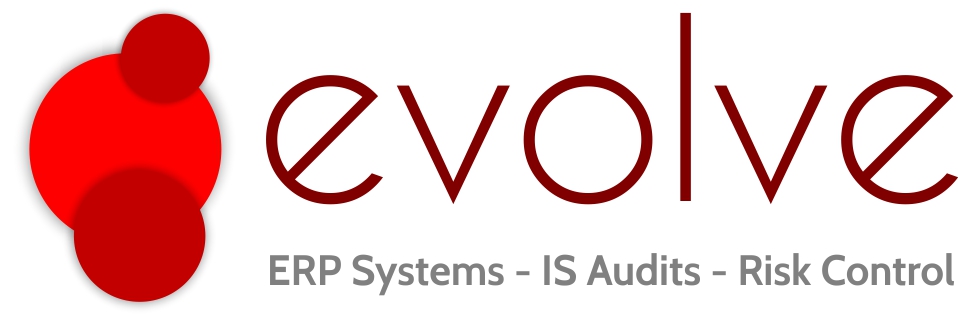 Evolve Africa - ERP Systems - IS Audits - Risk Control